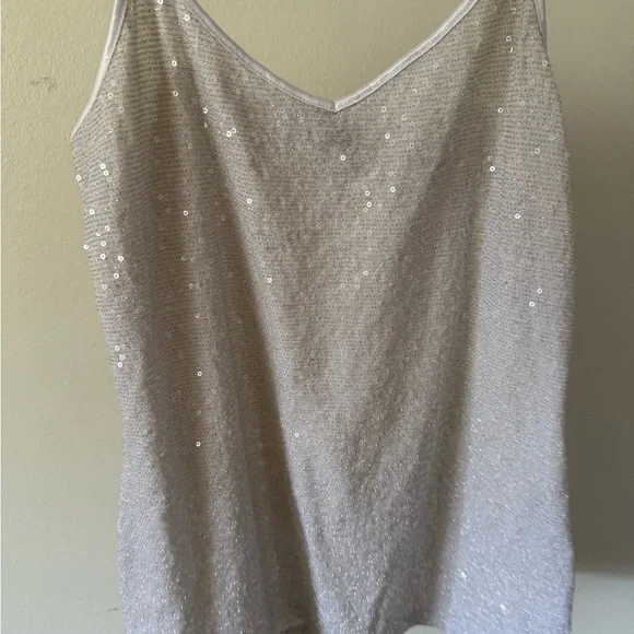 Express Silver Sequin Camisole Top - Picture 1 of 3